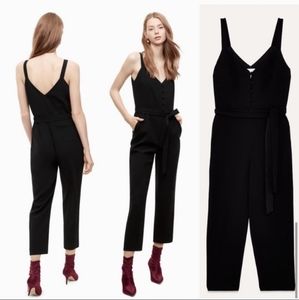 Aritizia Little Moon Petunia Black Jumpsuit 2